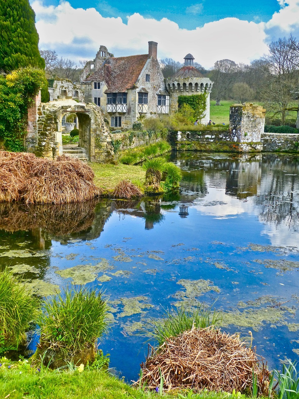 reflection-4943890-1280.jpg